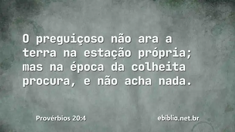 Provérbios 20:4