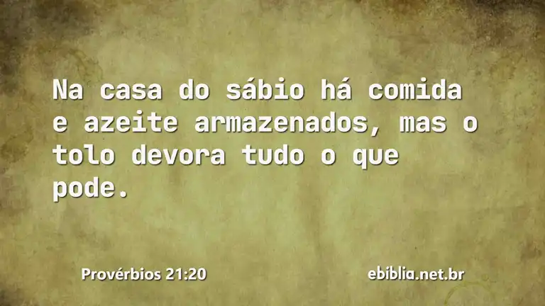 Provérbios 21:20