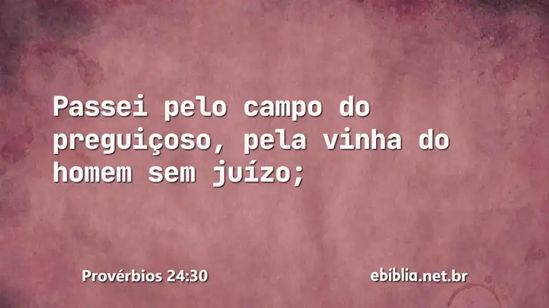 Provérbios 24:30