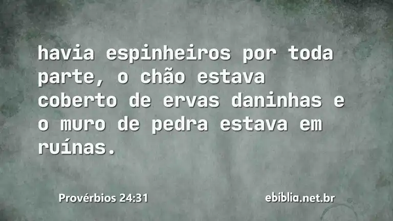 Provérbios 24:31