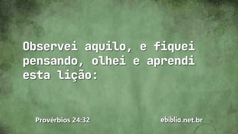 Provérbios 24:32