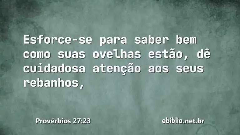 Provérbios 27:23