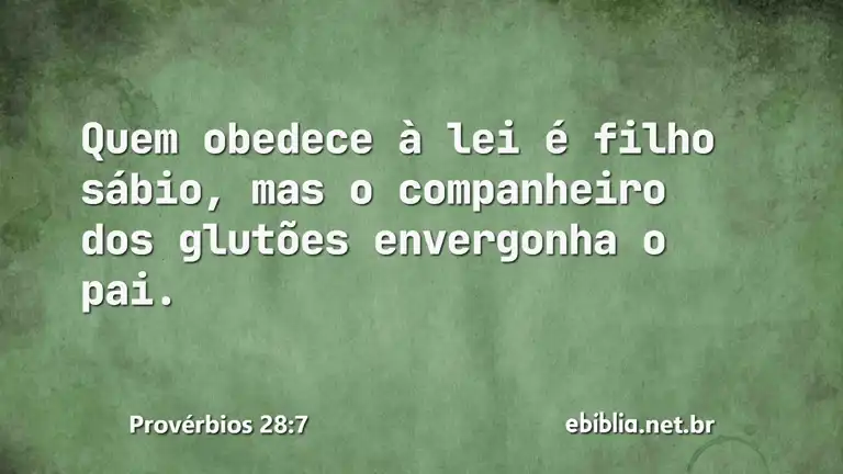 Provérbios 28:7