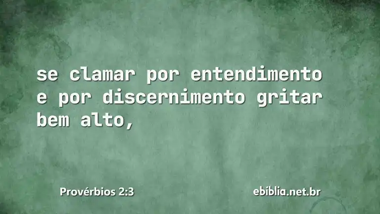 Provérbios 2:3