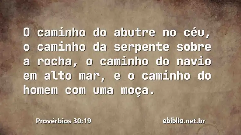 Provérbios 30:19