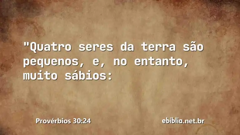 Provérbios 30:24