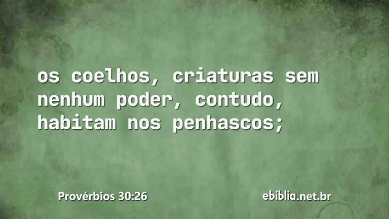 Provérbios 30:26