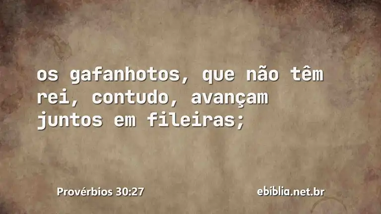 Provérbios 30:27