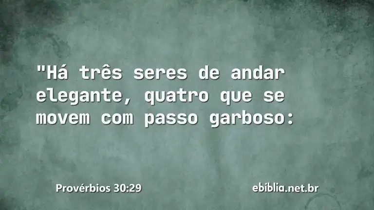 Provérbios 30:29