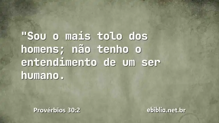 Provérbios 30:2