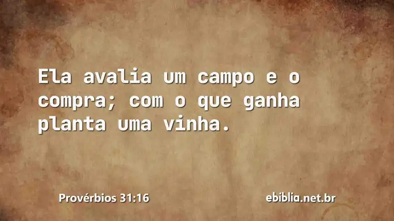 Provérbios 31:16