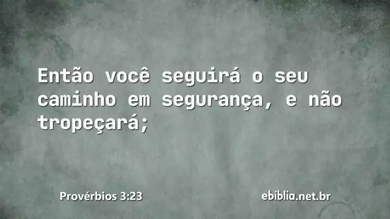 Provérbios 3:23