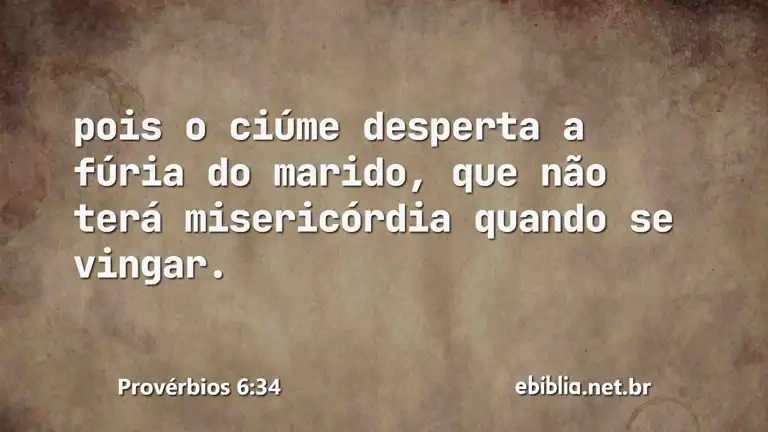 Provérbios 6:34