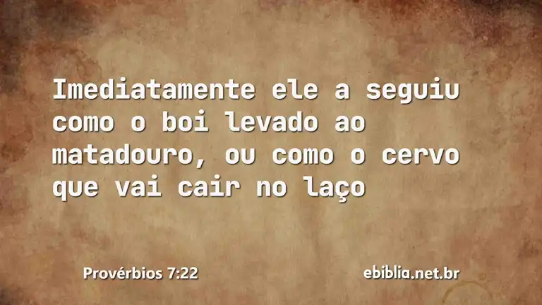 Provérbios 7:22