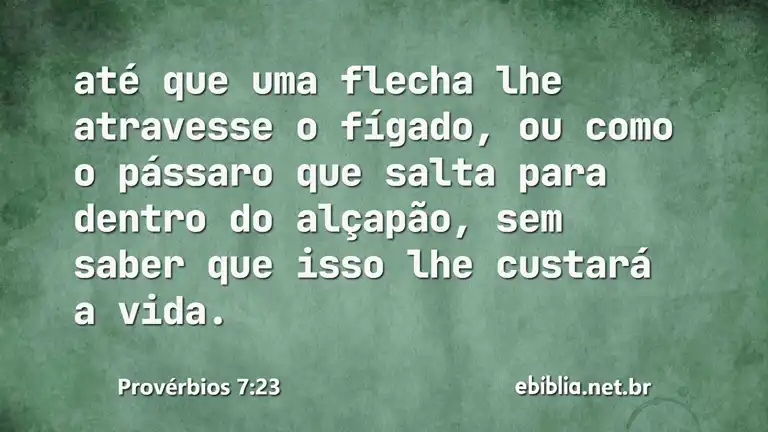 Provérbios 7:23