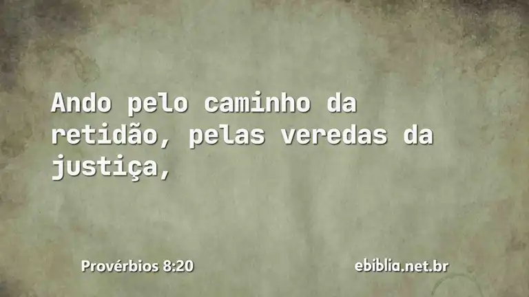 Provérbios 8:20