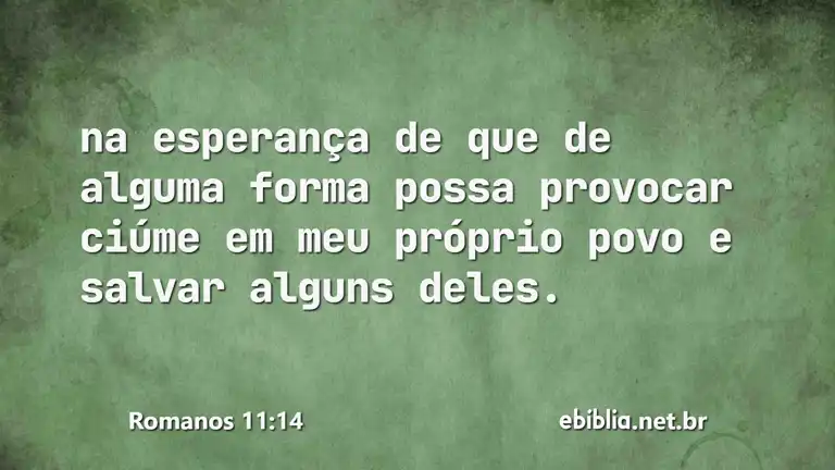 Romanos 11:14