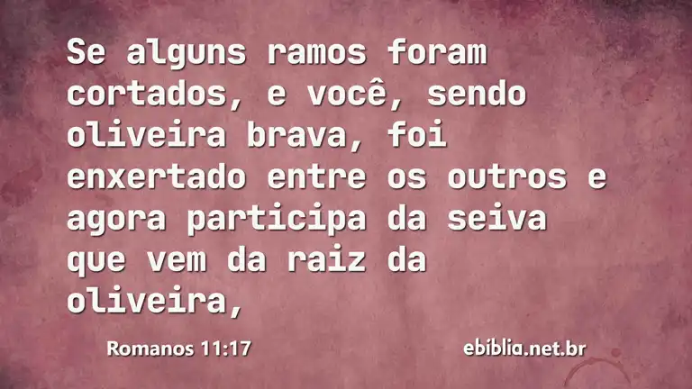 Romanos 11:17