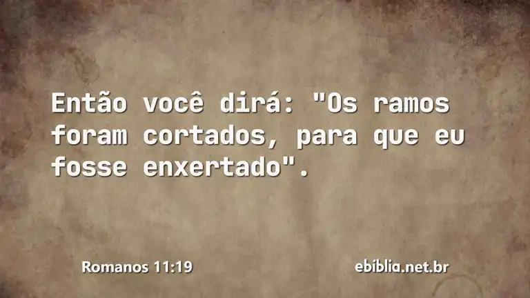 Romanos 11:19