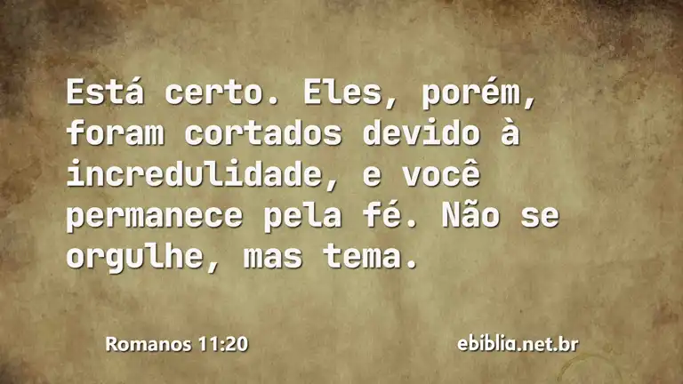 Romanos 11:20