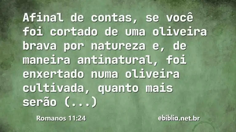 Romanos 11:24