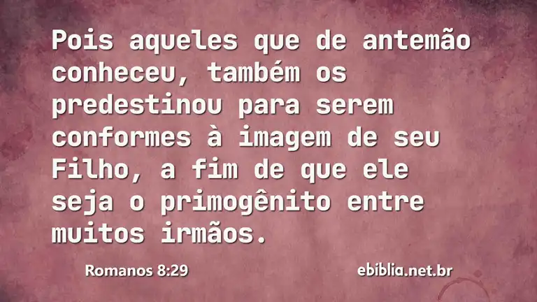 Romanos 8:29