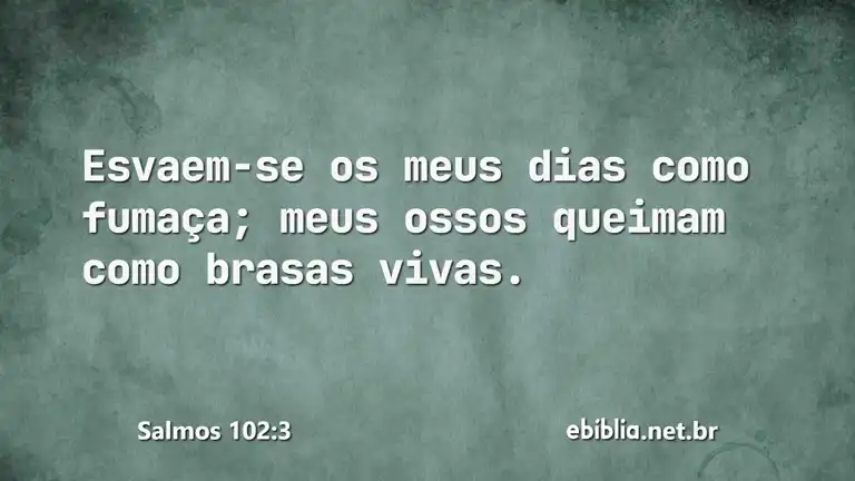 Salmos 102:3