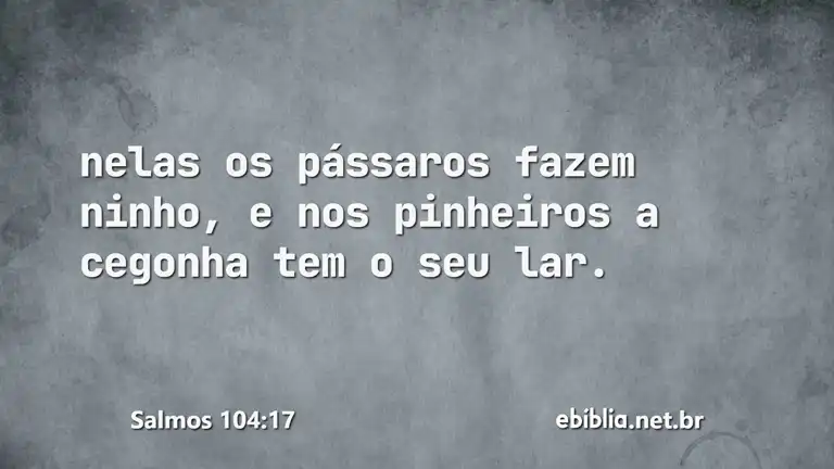 Salmos 104:17