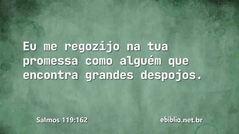 Salmos 119:162