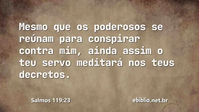 Salmos 119:23