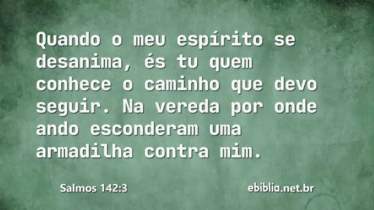 Salmos 142:3