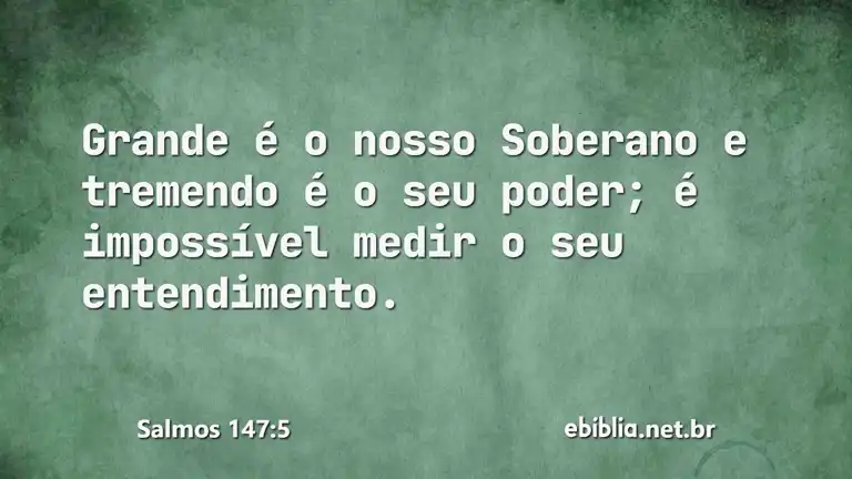 Salmos 147:5