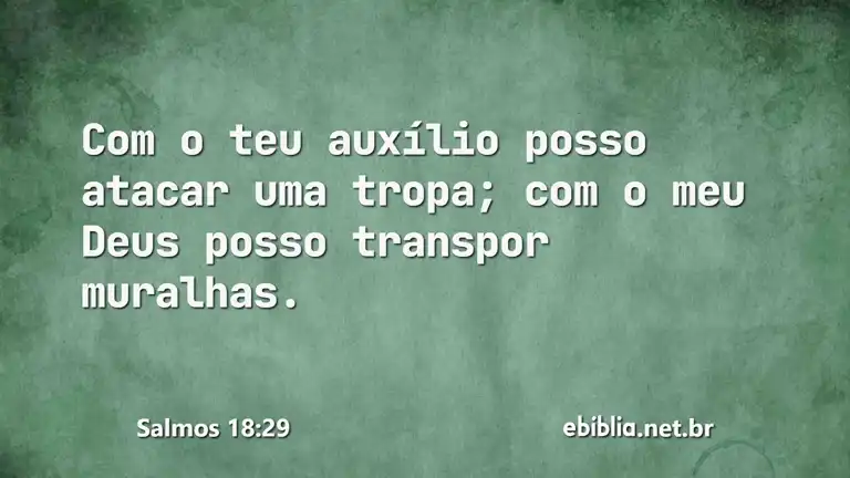 Salmos 18:29