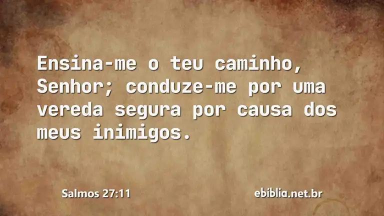 Salmos 27:11