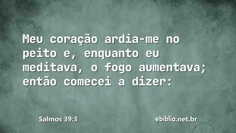 Salmos 39:3