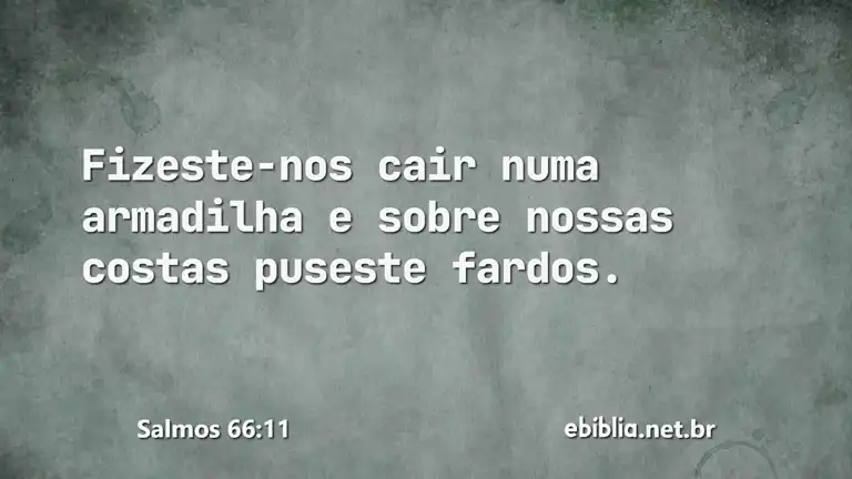 Salmos 66:11