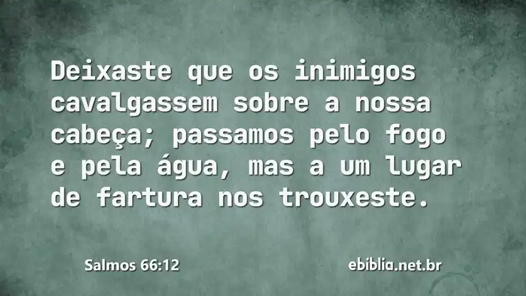 Salmos 66:12