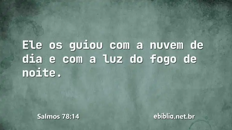 Salmos 78:14