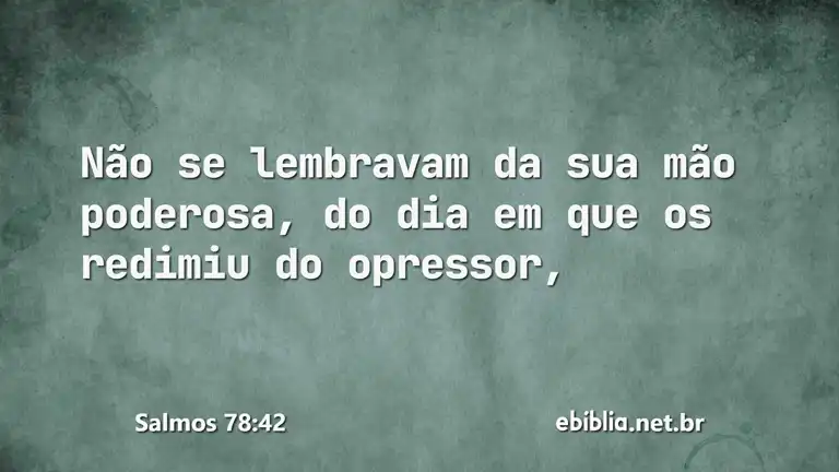 Salmos 78:42