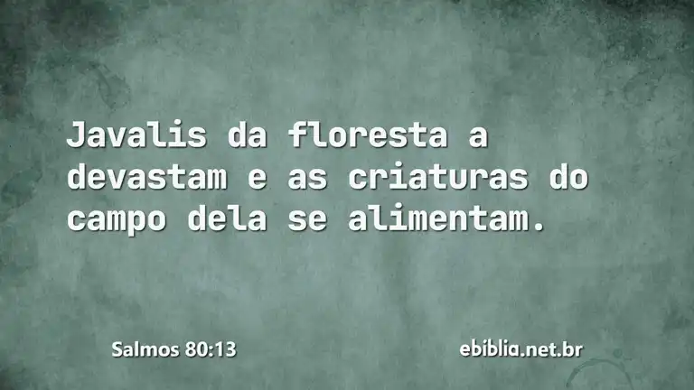 Salmos 80:13