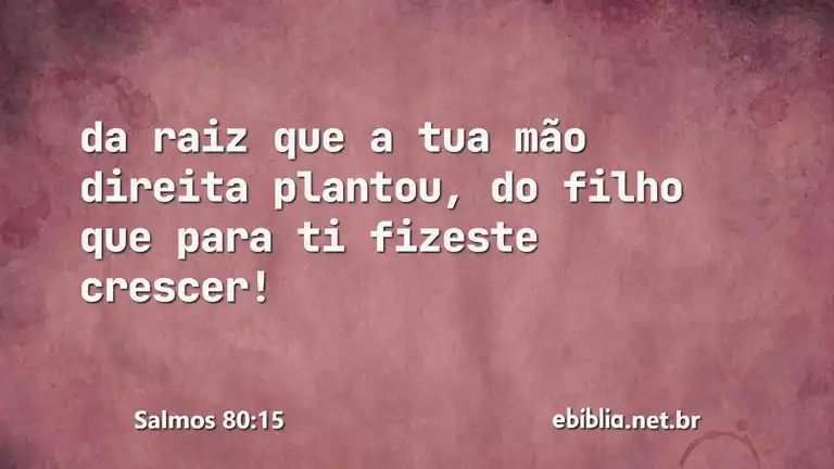 Salmos 80:15