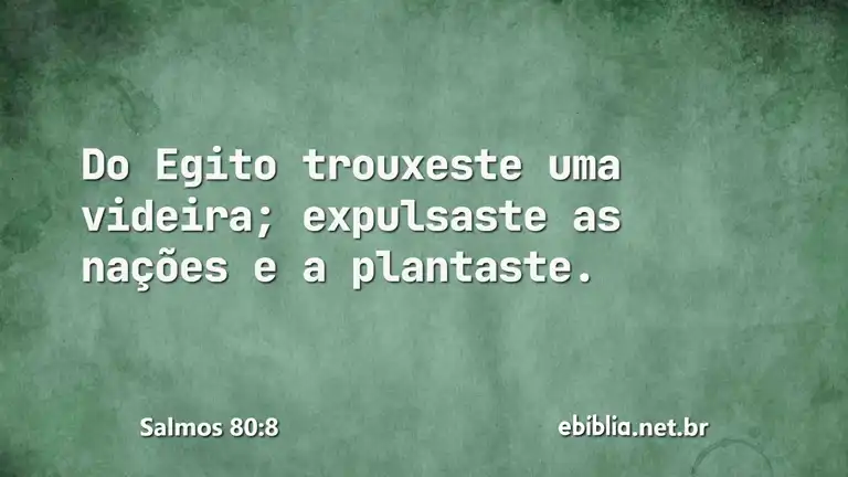 Salmos 80:8