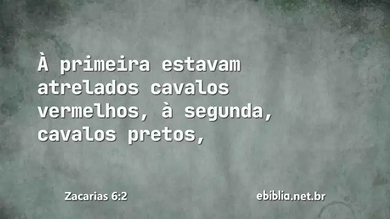 Zacarias 6:2